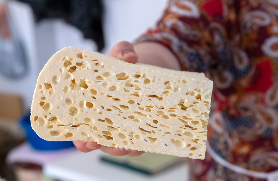 Porous plastic model illustrating fragile bone structure, used to represent osteoporosis care in Pitt Meadows